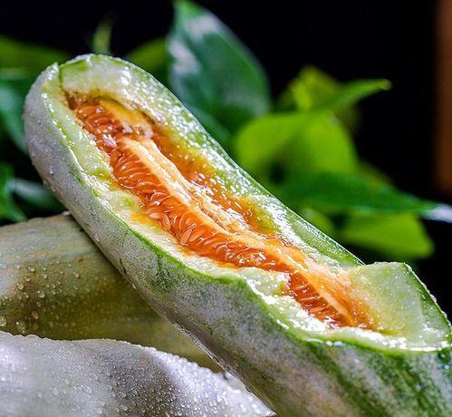 吃瓜陈建鹏网红