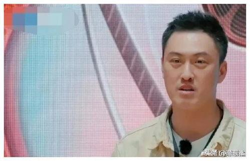 吃瓜娱乐圈最新